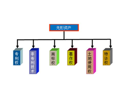 无形资产评估